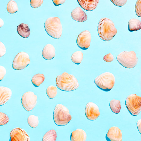Sea shells pattern on blue background. Flat lay, top view.の写真素材