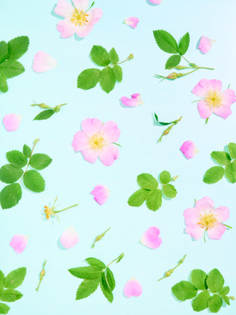 Floral pattern of pink wild roses on blue background.の写真素材