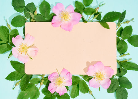 Blank paper for text with frame of wild rose flowers on blue background.の写真素材