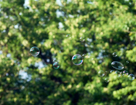 Soap bubbles on green nature background.の写真素材