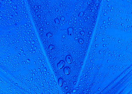 Water drops on waterproof membrane fabric. Morning dew on tent.の写真素材