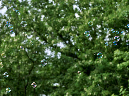 Soap bubbles on green nature background.の写真素材