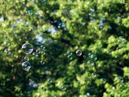Soap bubbles on green nature background.の写真素材