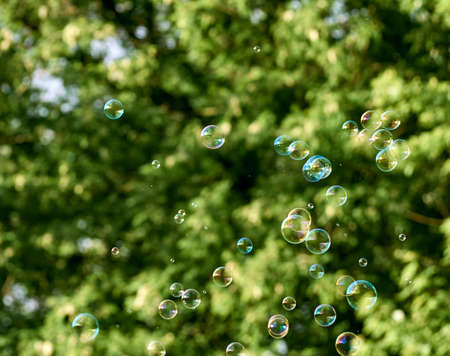 Soap bubbles on green nature background.の写真素材