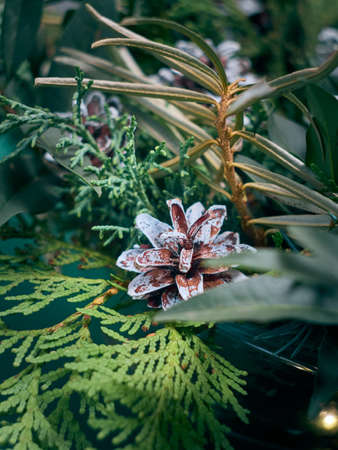 Details of Christmas wreath of fresh spruce, cones and Ñhristmas decorations, close up. New Year decorations.の写真素材