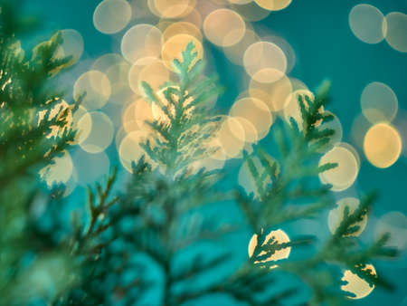 Christmas abstract bokeh background with branches of thuja. Christmas lights.の写真素材
