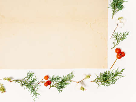 Christmas background. Top view of Christmas decorations. Flat lay of creative design on white background. Copy space for text.の写真素材