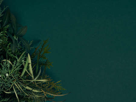 Top view of Christmas composition on green background. Holiday greeting card.の写真素材