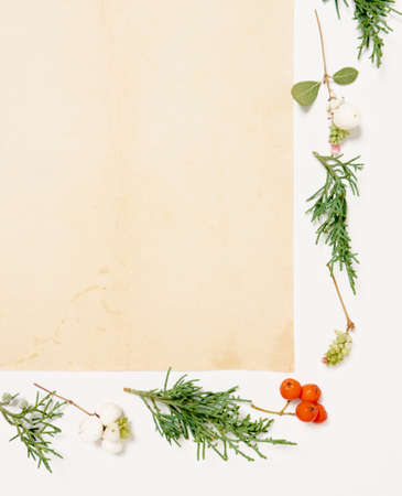 Christmas background. Top view of Christmas decorations. Flat lay of creative design on white...
