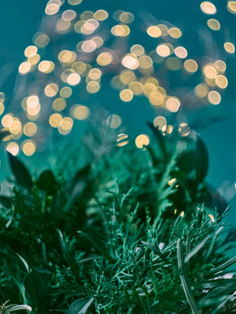 Christmas abstract bokeh background with branches of thuja. Christmas lights.