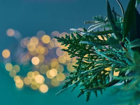 Christmas abstract bokeh background with branches of thuja. Christmas lights.の写真素材