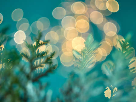 Christmas abstract bokeh background with branches of thuja. Christmas lights.の写真素材