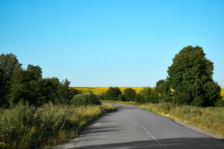 Road in the countryside in Ukraine.の写真素材
