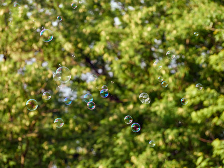 Soap bubbles on green nature background.の写真素材