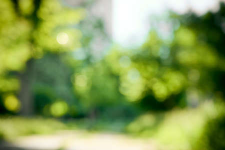 Natural blurred background with bokeh and sun light.の写真素材