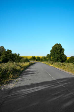 Road in the countryside in Ukraine.の写真素材