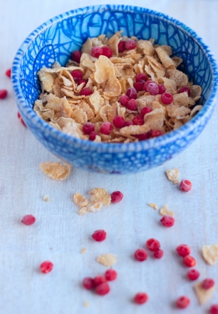 corn flakes and red berries frozen in a blue plate