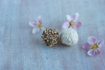 two round candies - chocolate with nuts and coconut flakes and petalsの写真素材