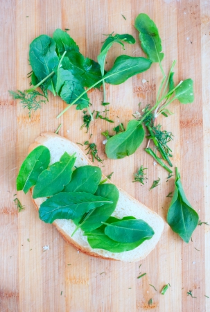 leafs sorre, spinach and vegetarian sandwichの写真素材