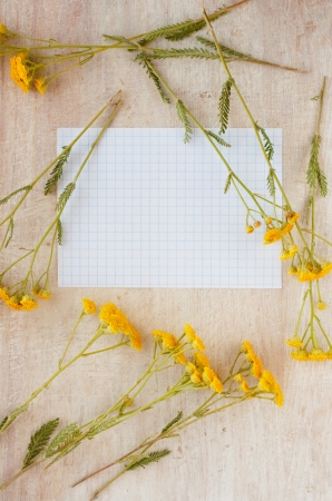frame of wild flowers and  paper for writingの写真素材