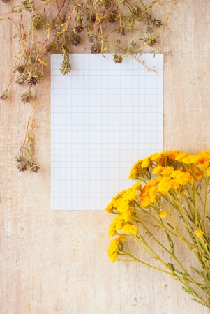 paper for writing and medicinal herb on the white boardの写真素材