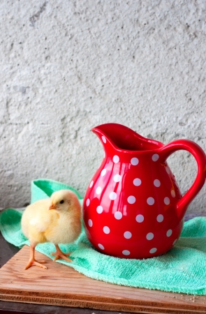chicken and bright red jig in the polka dotの写真素材