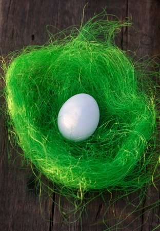 white egg in the nest with artificial grassの写真素材