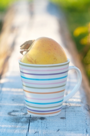 yellow apple in the stripy cupの写真素材