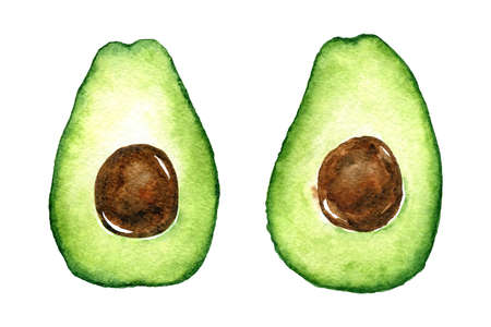 Watercolor avocado halves isolated on white background. Hand-drawn illustration. Perfect for your project, cards, prints, covers, menu or patterns.の写真素材