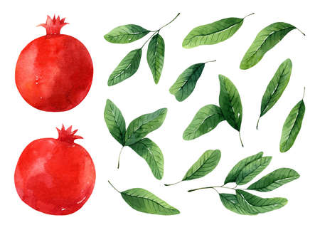 Set of juicy red pomegranates and green leaves isolated on white background. Watercolor hand-drawn illustration. Perfect for your project, cards, prints, covers, menu, patterns, logo, decor.の写真素材