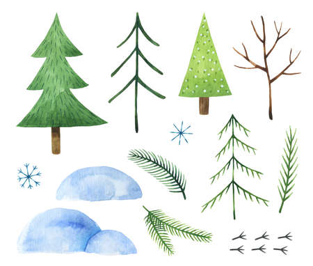 Watercolor set of winter elements on white background. Stylized fir trees, snowdrifts, fir branches,...