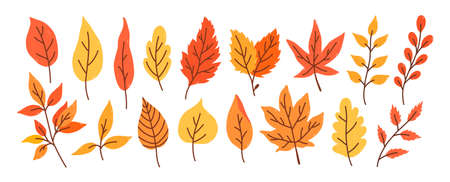 Set of different autumn leaves and twigs isolated on a white background. Vector hand-drawn illustration in cartoon flat style. Perfect for your project, cards, invitations, print, decorations.のイラスト素材