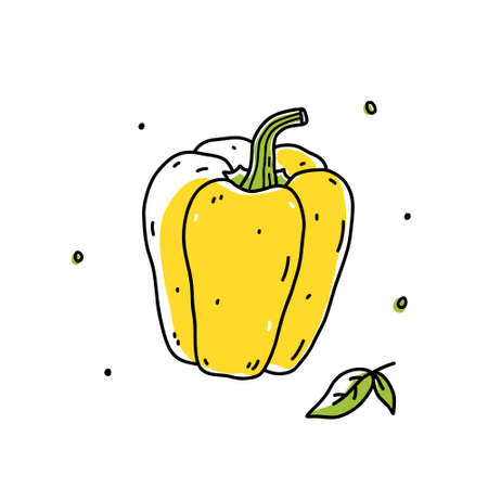 Yellow bell pepper isolated on white background. Organic healthy food. Vector hand-drawn illustration in doodle style.のイラスト素材