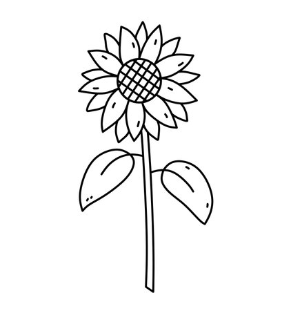 Sunflower isolated on a white background. Vector hand-drawn illustration in doodle style. Perfect for logo, cards, decorations, various designs. Botanical clipart.のイラスト素材