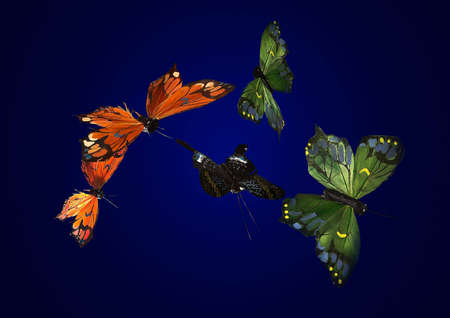Butterflies printed on silkの写真素材
