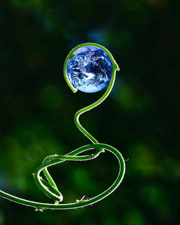 Green stalk growing in circle, holding planet Earth (Earth image courtesy of NASA - Blue Marble,...