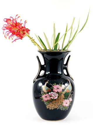 Red banksia flower in a decorative vase, on white backgroundの写真素材