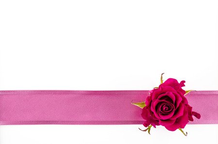 Empty postcard background with rose flower and pink ribbonの写真素材