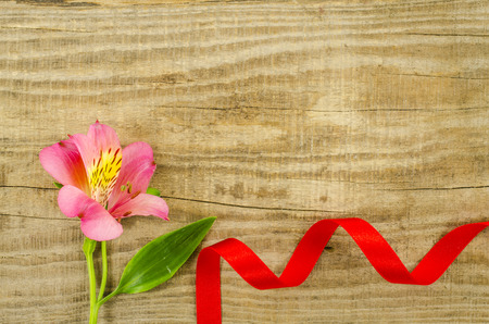 Empty wooden background with colorful flower and red ribbonの写真素材