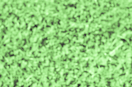 Green abstract texture or backgroundの写真素材