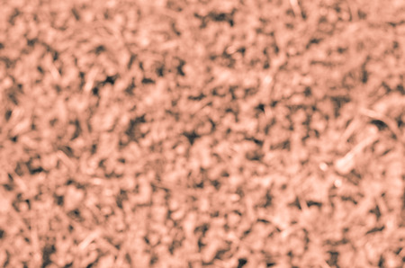 Orange abstract texture or backgroundの写真素材