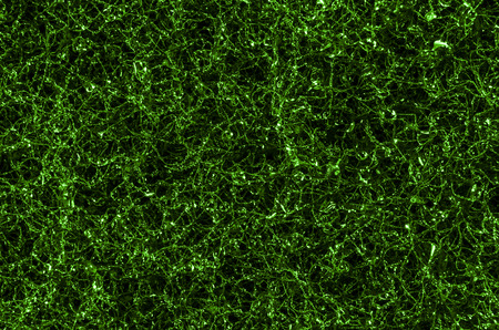 Green texture or backgroundの写真素材