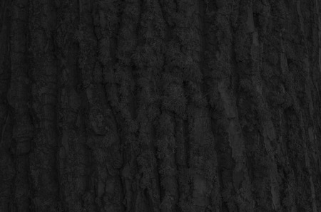 Black abstract backgroundの写真素材