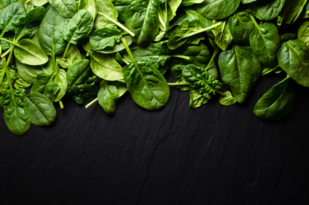 Fresh spinach backgroundの写真素材