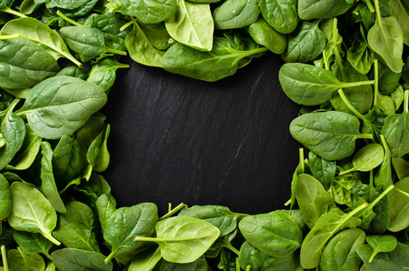 Fresh spinach backgroundの写真素材
