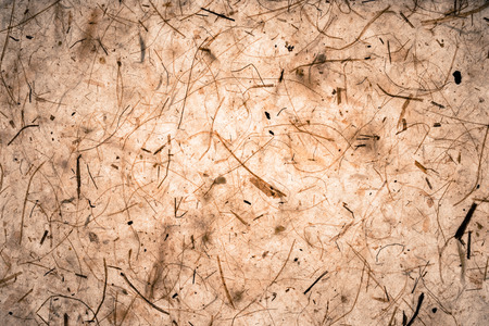 brown textureの写真素材