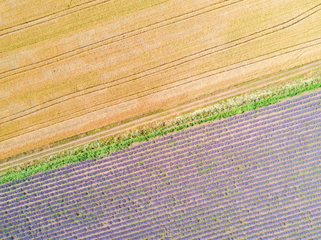Aerial view of agricultural fieldsの写真素材