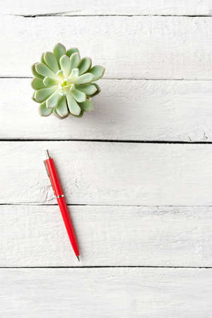 Overhead shot of red pen and small flower on white wooden table with copyspace. Office desktop conceptの写真素材