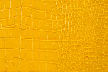 Yellow snakeskin leather background. Elegant texture