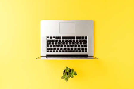 Concept of business background with laptop and green flower. Office desktopの写真素材